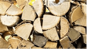 bijou hêtre par Ritama